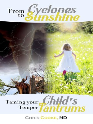 cover image of From Cyclones to Sunshine